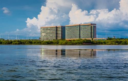 Grand Hyatt Tampa Bay